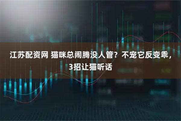 江苏配资网 猫咪总闹腾没人管？不宠它反变乖，3招让猫听话