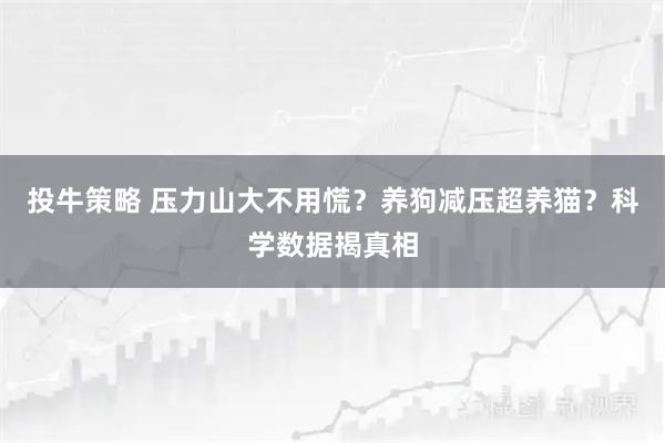 投牛策略 压力山大不用慌？养狗减压超养猫？科学数据揭真相