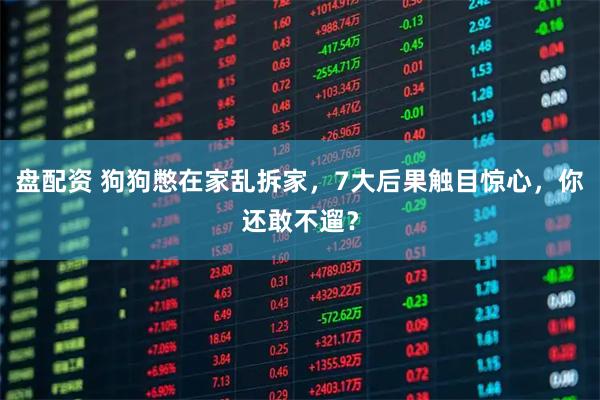 盘配资 狗狗憋在家乱拆家，7大后果触目惊心，你还敢不遛？