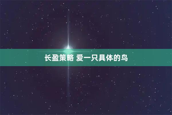 长盈策略 爱一只具体的鸟