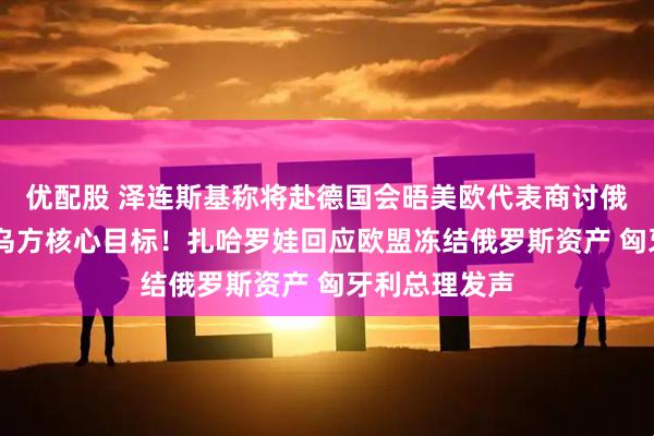 优配股 泽连斯基称将赴德国会晤美欧代表商讨俄乌停火 透露乌方核心目标！扎哈罗娃回应欧盟冻结俄罗斯资产 匈牙利总理发声
